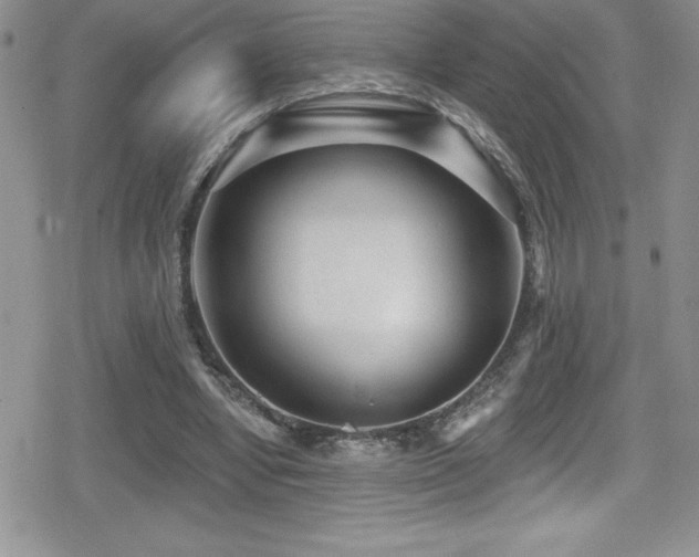 X0000080770442200612151438