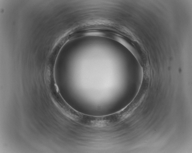 X0000080770448200612151439
