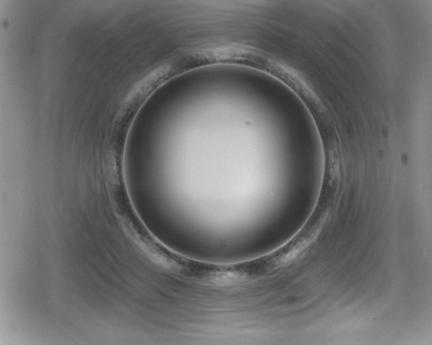 X0000080770453200612151439