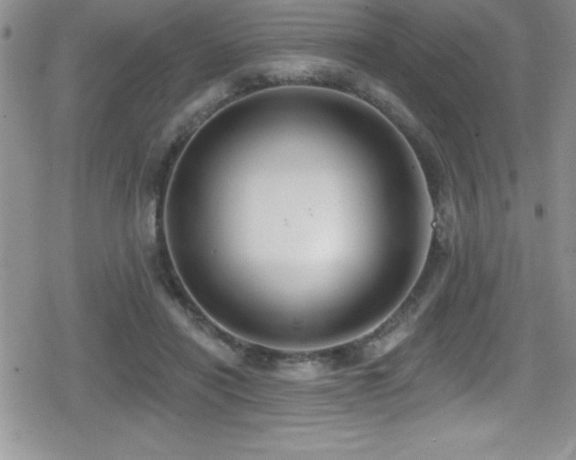 X0000080770454200612151439
