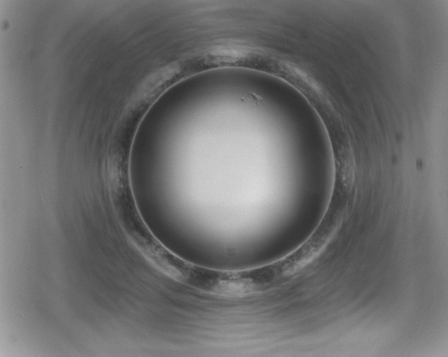X0000080770455200612151439