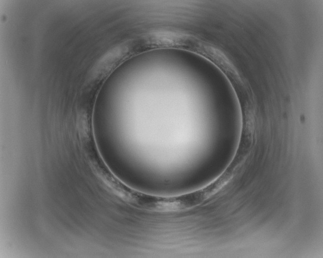 X0000080770457200612151439