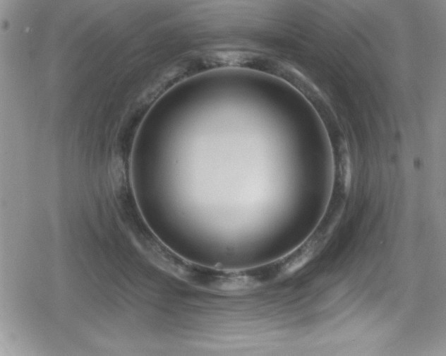 X0000080770459200612151439