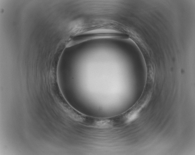 X0000080770461200612151439