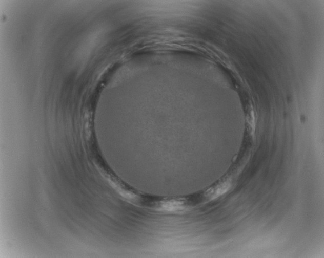 X0000080770462200612151439