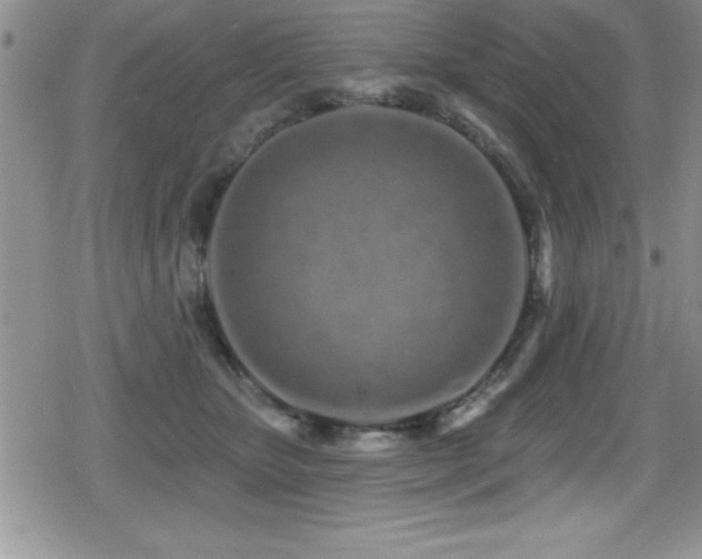 X0000080770467200612151439