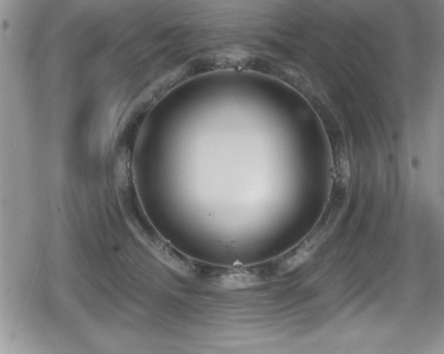X0000080770468200612151439