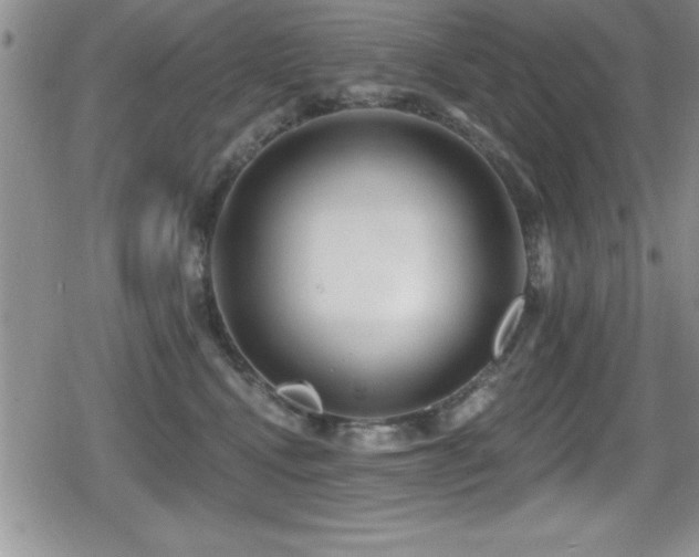 X0000080770472200612151439