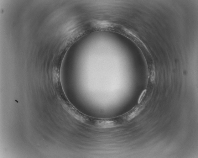 X0000080770476200612151439