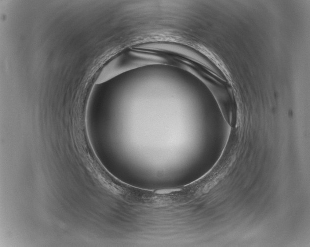 X0000080770481200612151438