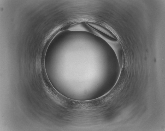 X0000080770482200612151438