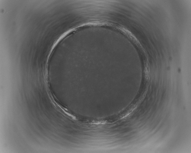X0000080770484200612151438