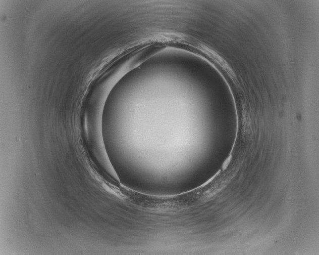 X0000080770485200612151438