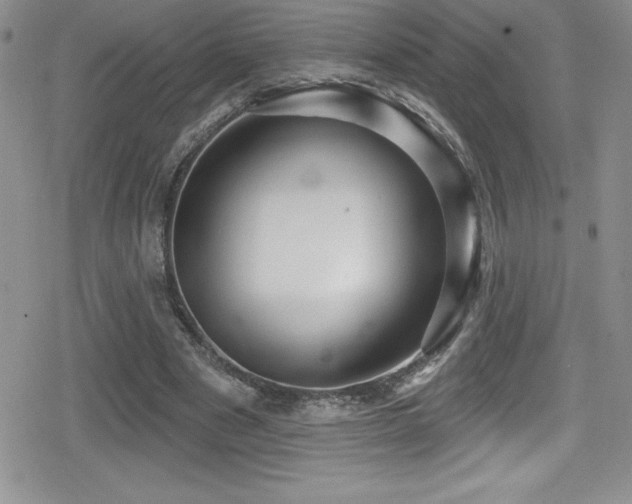 X0000080770489200612151438