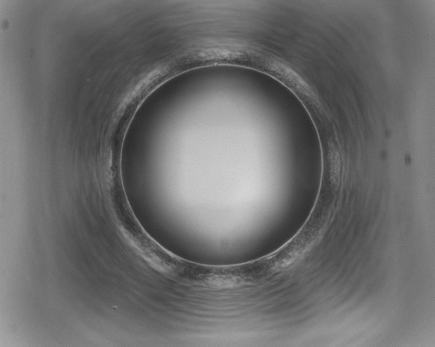 X0000080770490200612151438