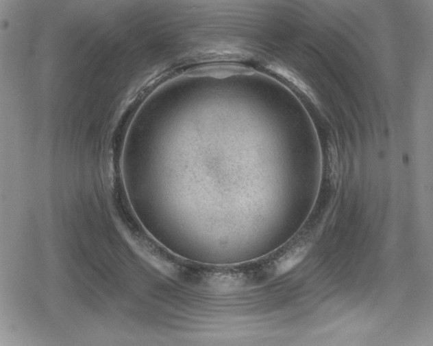 X0000080770494200612151438