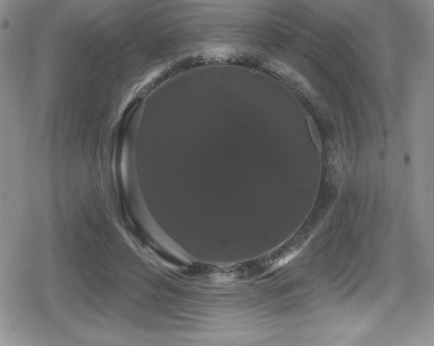 X0000080770496200612151438