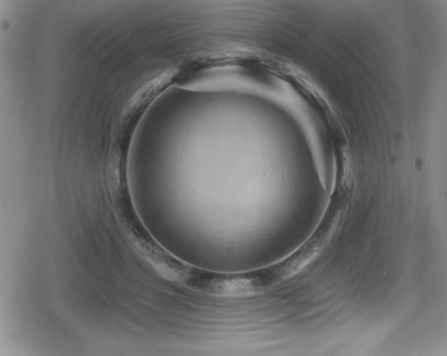 X0000080770501200612151438