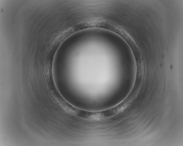 X0000080770505200612151438