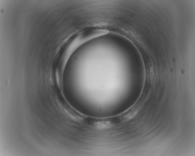 X0000080770508200612151438