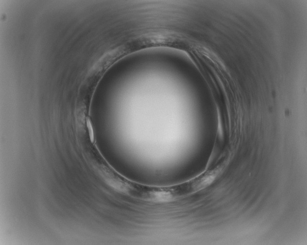 X0000080770509200612151438