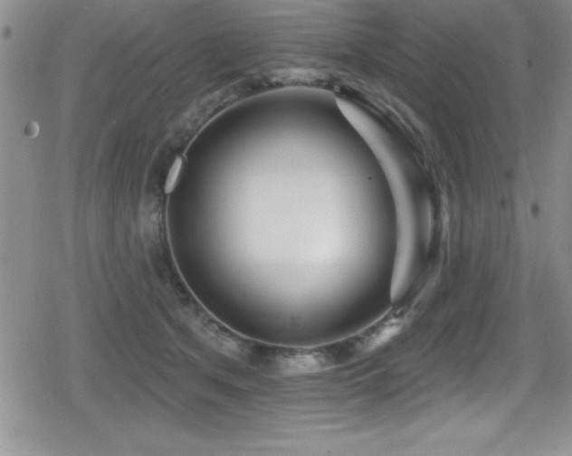 X0000080770513200612151438