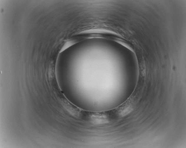 X0000080770515200612151438