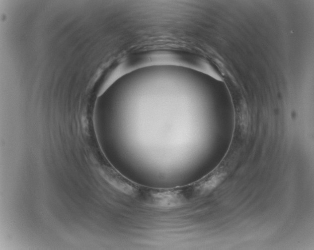 X0000080770516200612151438