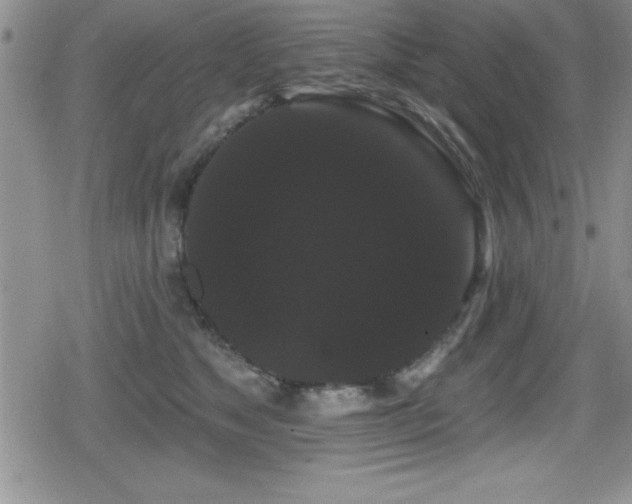 X0000080770517200612151438