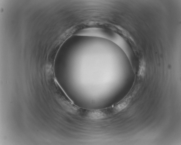 X0000080770521200612151438