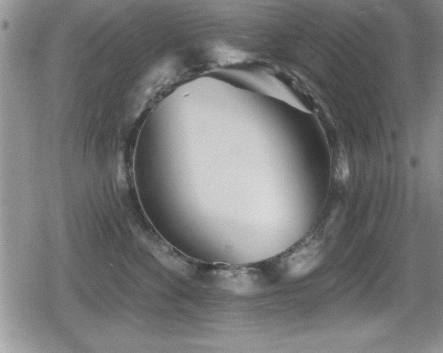 X0000080770524200612151438