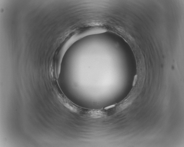 X0000080770528200612151437