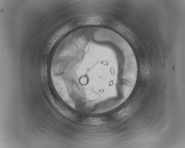 X0000080770534200612151437
