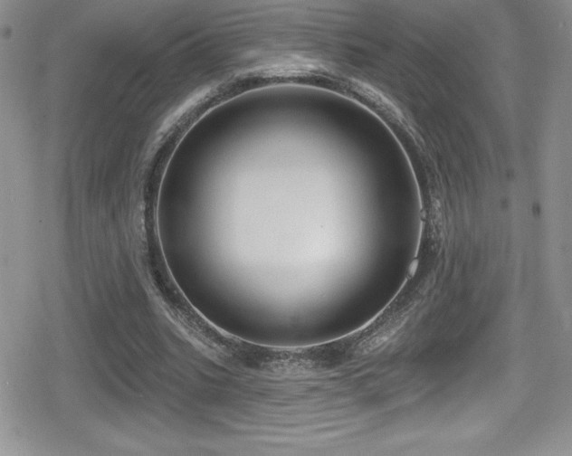 X0000080770535200612151437