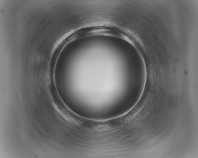 X0000080770536200612151437