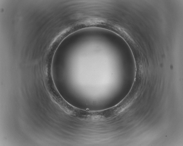 X0000080770539200612151437