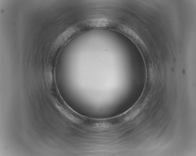 X0000080770541200612151437