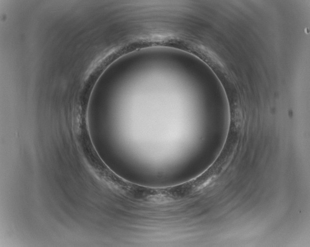 X0000080770544200612151437