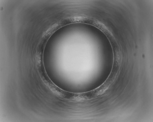 X0000080770545200612151437