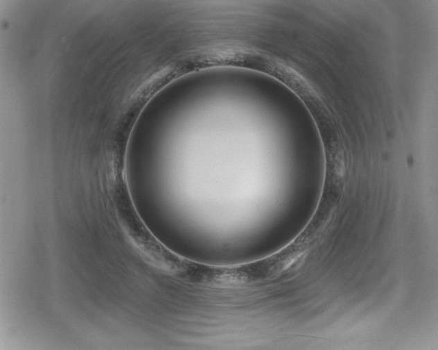 X0000080770546200612151437