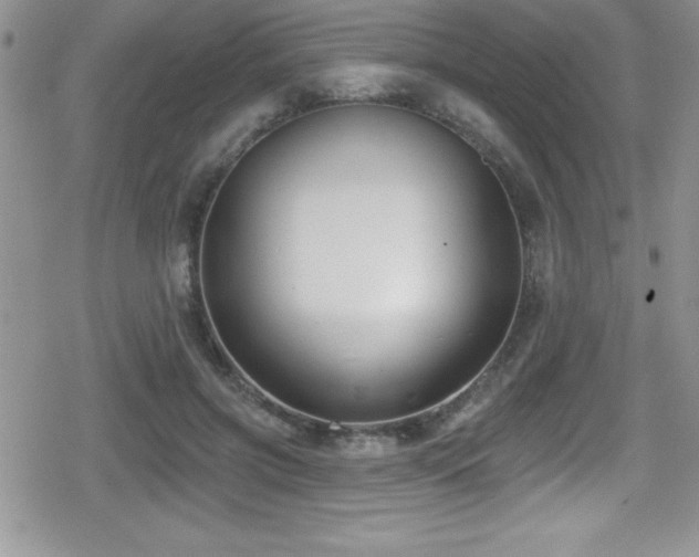 X0000080770549200612151437
