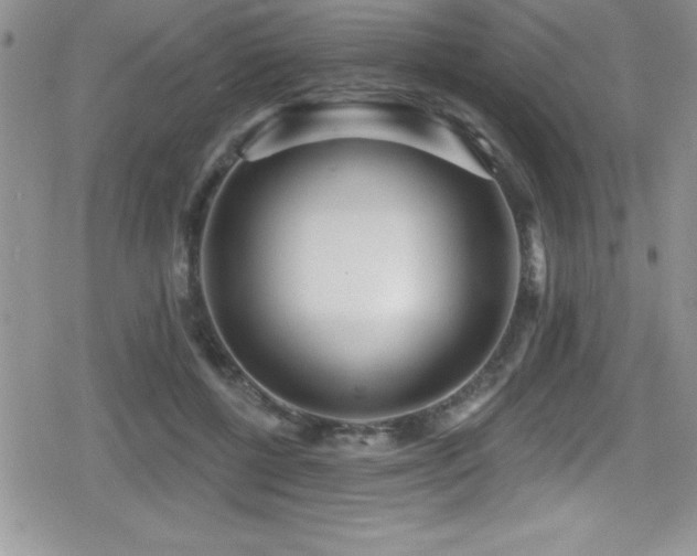X0000080770552200612151437