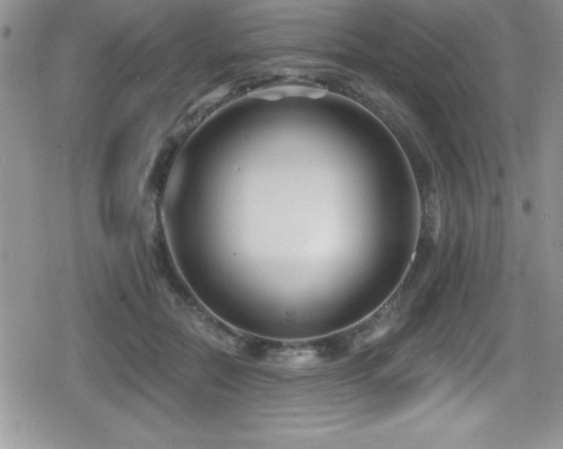 X0000080770554200612151437