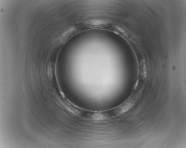X0000080770562200612151437