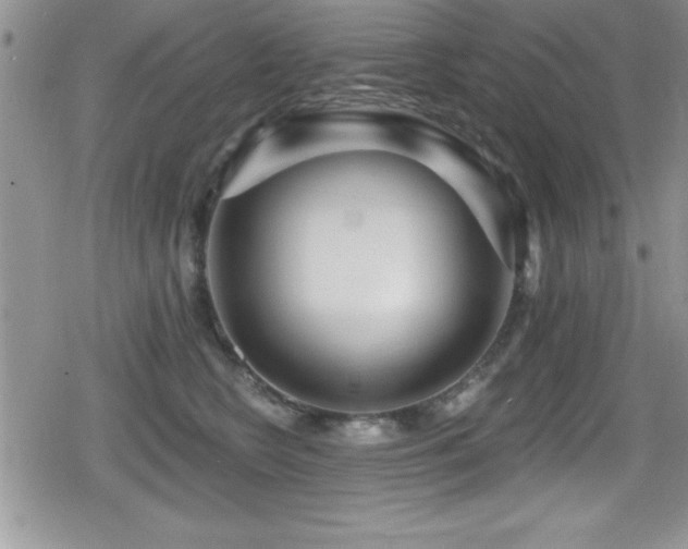 X0000080770566200612151437