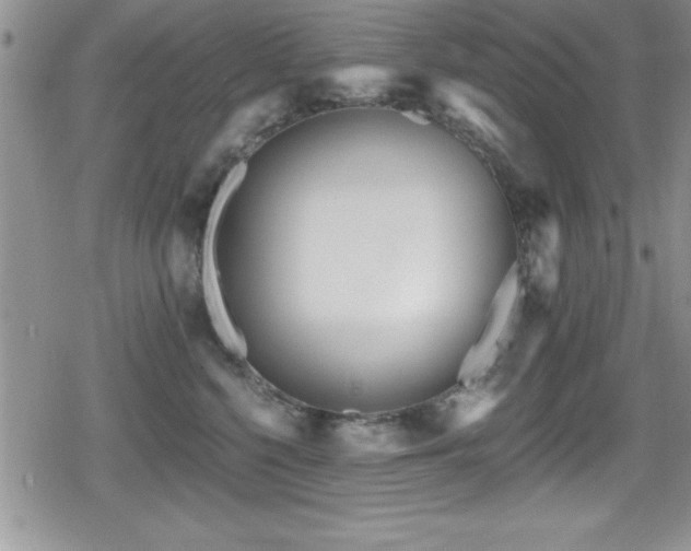 X0000080770568200612151437