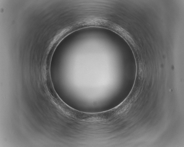 X0000080770578200612151437
