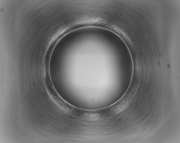 X0000080770582200612151437