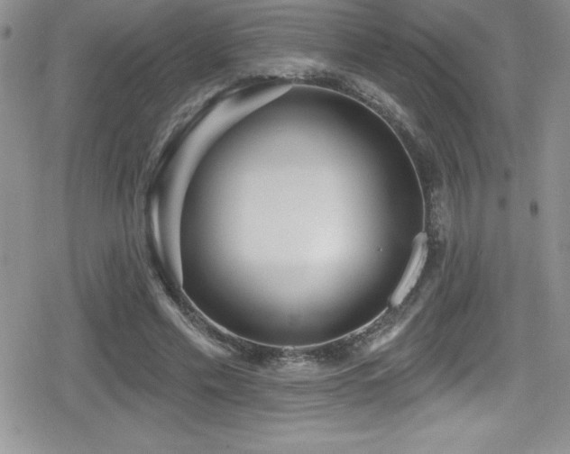 X0000080770589200612151436