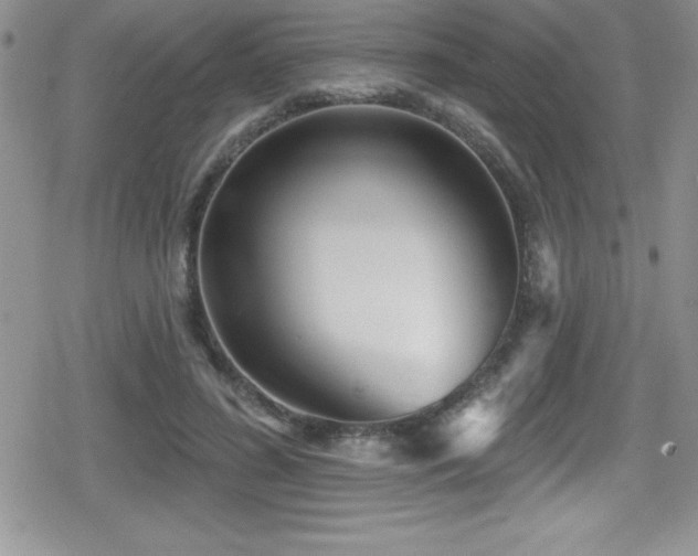 X0000080770596200612151436